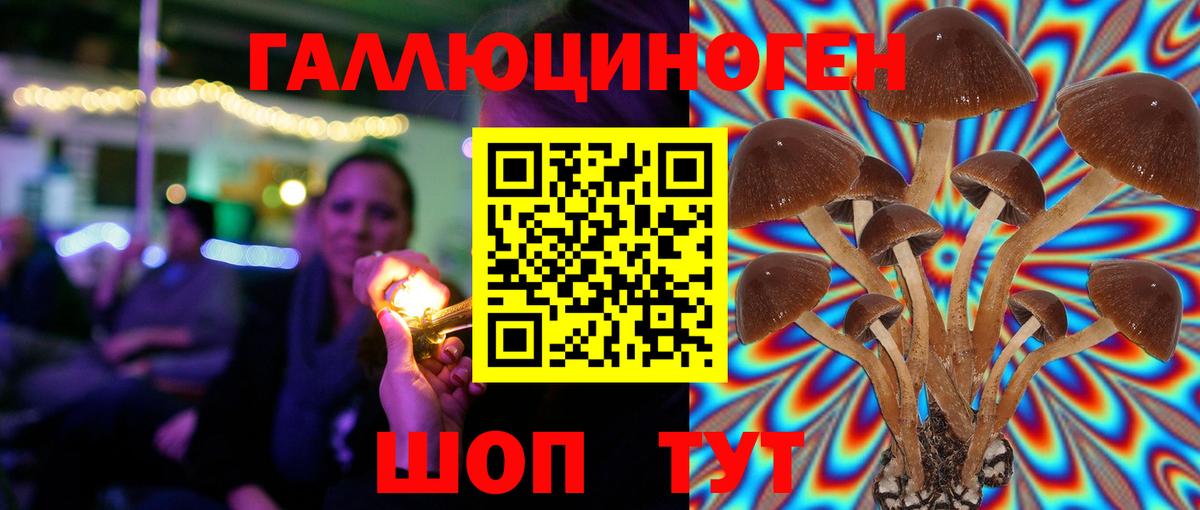 Псилоцибиновые грибы мицелий  Вход с VPN  Лесосибирск 